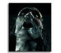 Zombie 3D