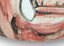 Mitch Waxman's hand painted ceramics at Weirdass.net