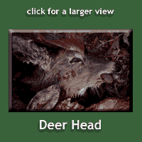 deer head